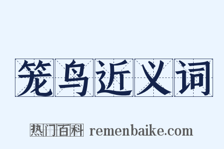 笼鸟近义词是什么意思的图片